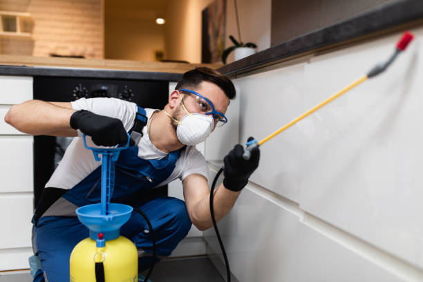 Best Residential Pest Control  in Newton, NC