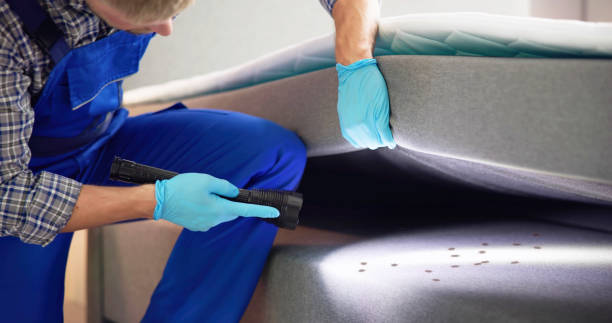 Professional Pest Control in Newton, NC