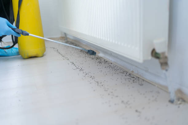 Pest Control for Restaurants in Newton, NC